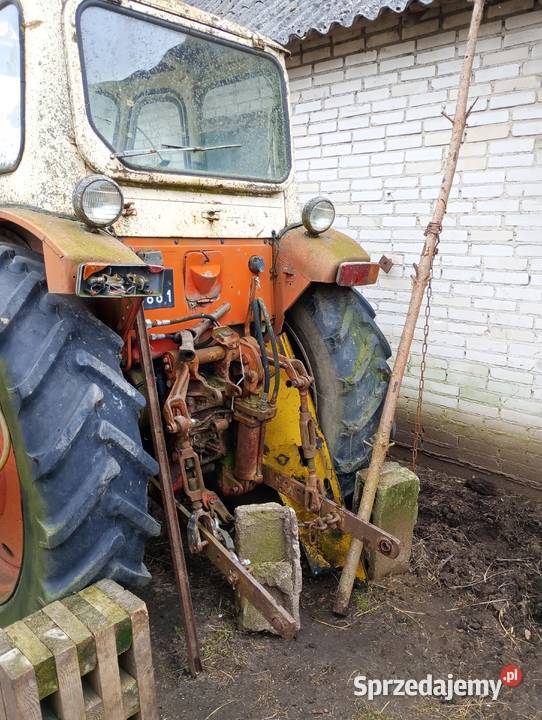 Jumz podlaskie sprzedam