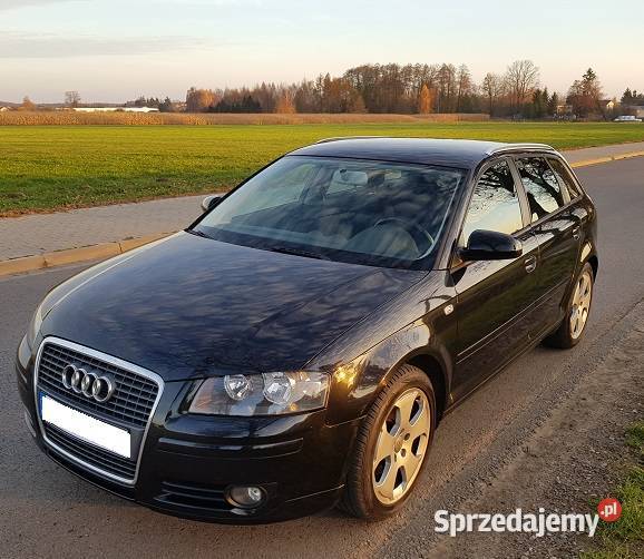 Audi A3 8P Sportback 19TDI 105 Siedlce