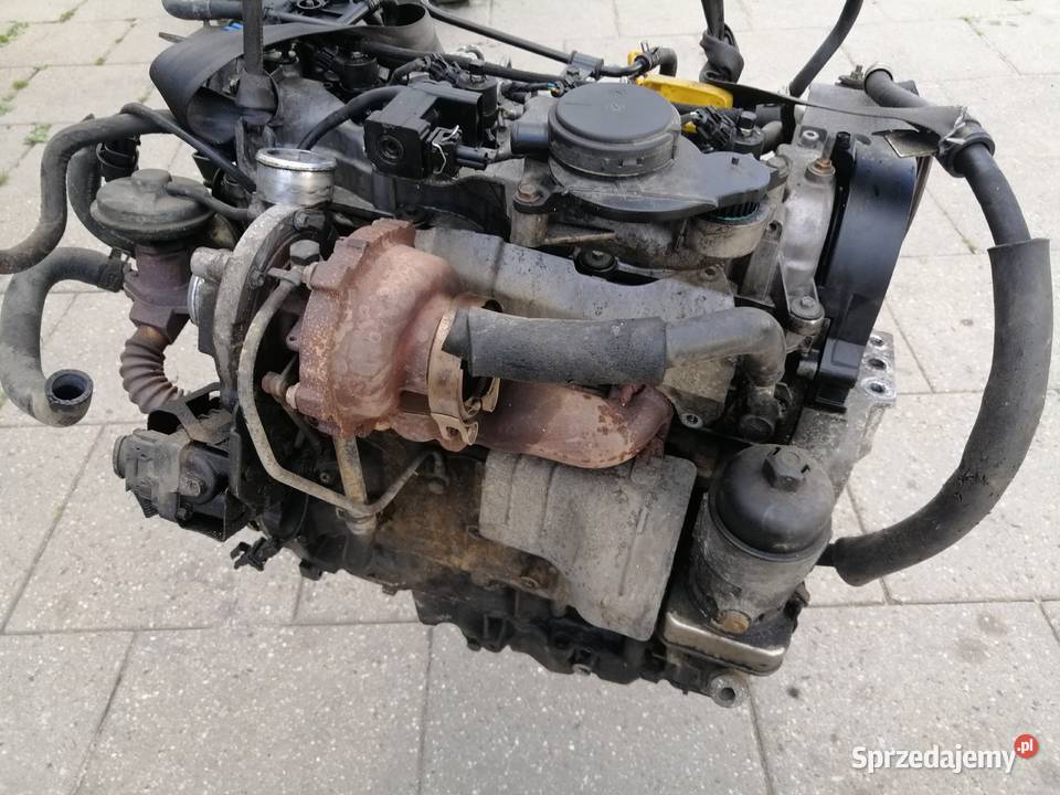 Chevrolet Antara Captiva 20 VCDi 20 CDTi 150 osobowe Jastrzębie-Zdrój