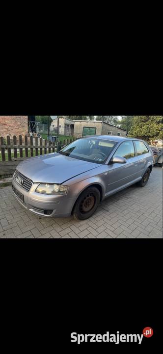 Audi A3 8P 16 Wolin
