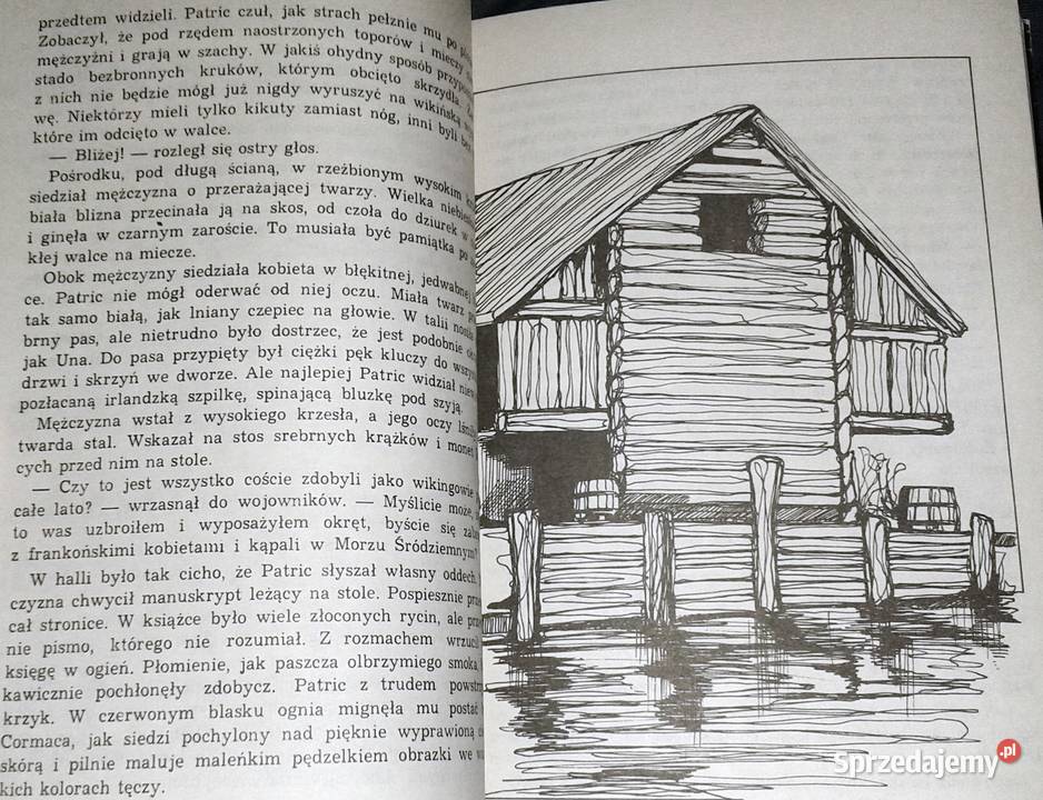 Porwani wikingów Torill Thorstad Hauger Chełm