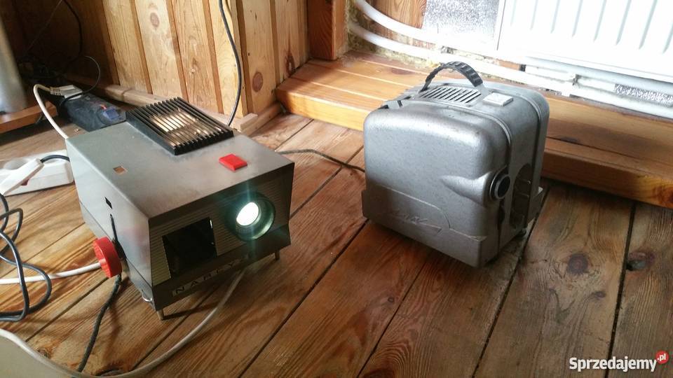 2 x Rzutnik Ruski plus Narcyz polski Pozostałe mazowieckie Raszyn sprzedam