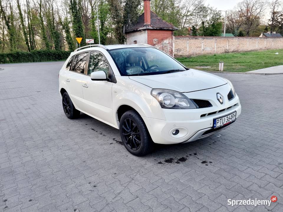 Renault Koleos 4x4 Iłowa
