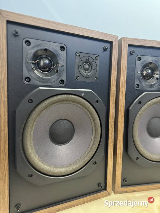 Kolumny głośnikowe Carnegle 90 Łapy