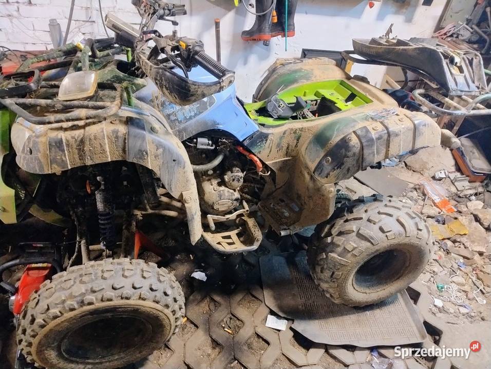 Bashan 250 Kołobrzeg