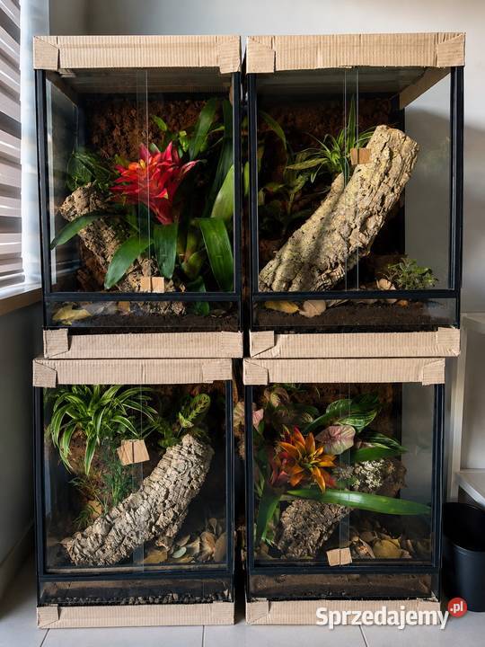 Terrarium 40x40x60 sprzedam