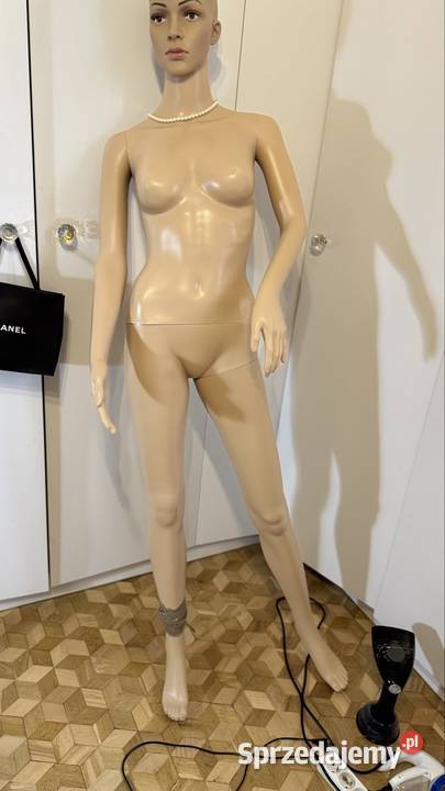 Manekin rozmiar s odbiór Lublin wysyłka pocztą Pozostałe lubelskie sprzedam