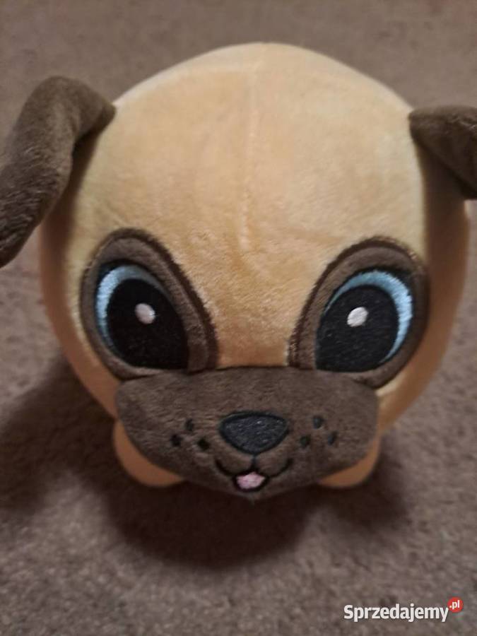 Zabawki z biedronki Sosnowiec