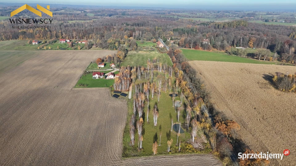 Dawidy działka z WZ 3001 m