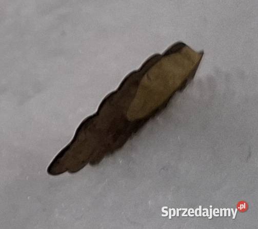 Listek z drzewka pomyślności 67x12mm Kreatywne Czeladź