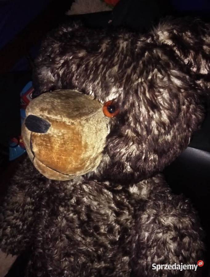 Stary Miś trociniak Teddy Bear Trawa morska Grójec