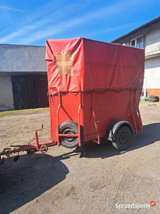 Przyczepka Złotniki Kujawskie