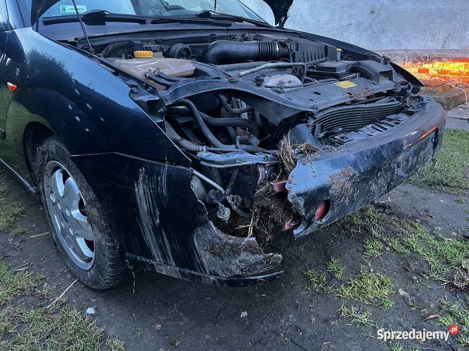 Ford fokus MK1 18 benzyna 16V Hatchback Focus Głuchołazy