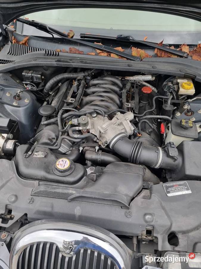 Jaguar SType 42l V8 2002r benzyna podkarpackie Gać sprzedam