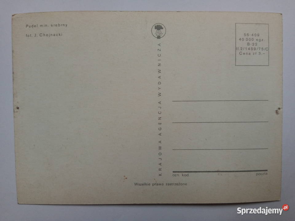 9 Pocztówka z psem 1975r PRLu KOLEKCJA Dąbrowa Górnicza