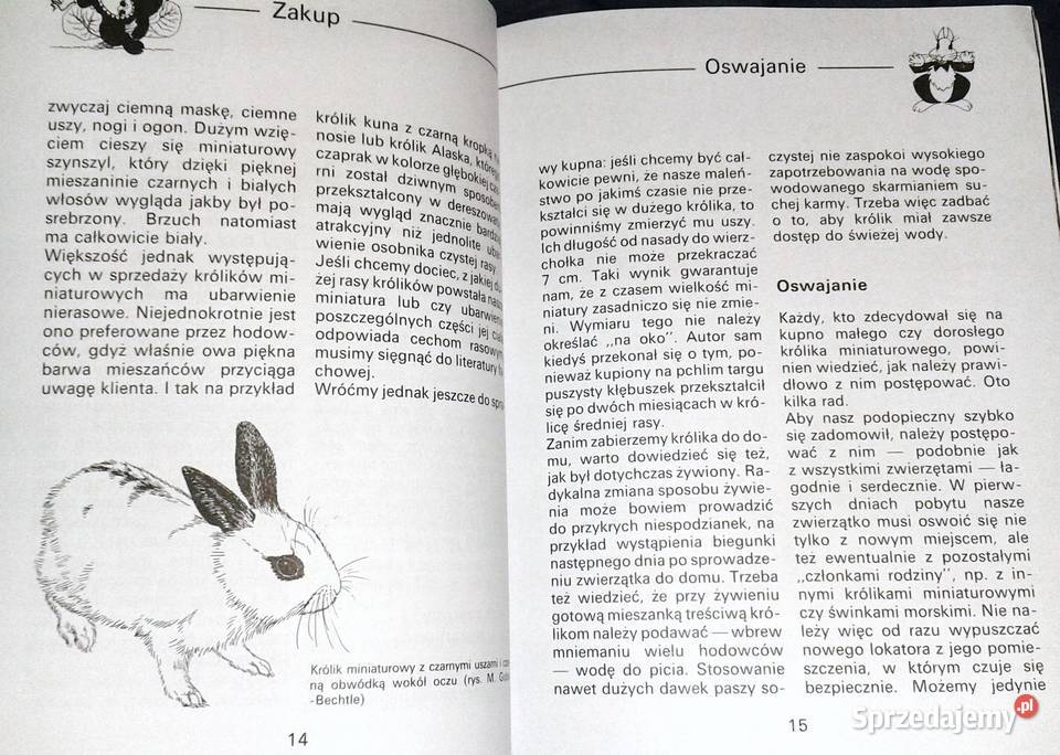Królik miniaturowy Andrea Dieker Jutta Steinkamp miękka Chełm