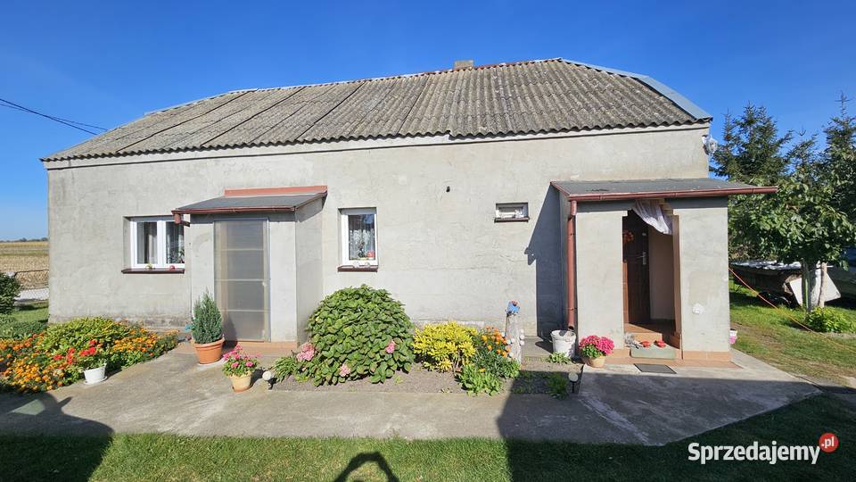 Dom 80m2 na wsi z dużą działką 54 ary 6400m2 Katarzyna sprzedam