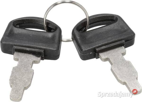 Kluczyk stacyjki zapłonu Briggs Stratton 590996 Do maszyn uprawowych Kamionna