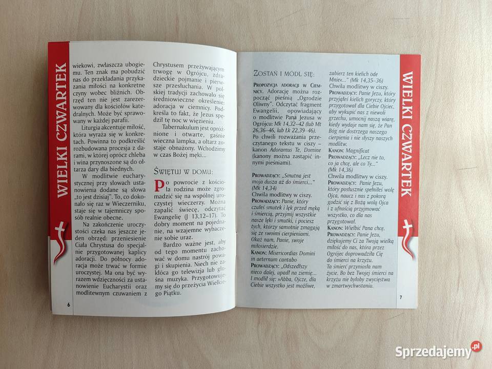 S Wyszyński Droga Krzyżowa i Zmartwychwstały DVD Katowice