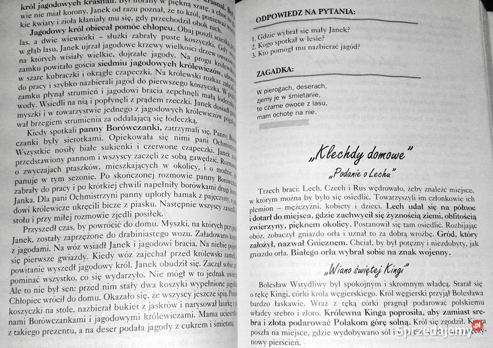 Powtórka z literatur kl 13 Szkoła podstawowa Rok wydania 2006 Chełm