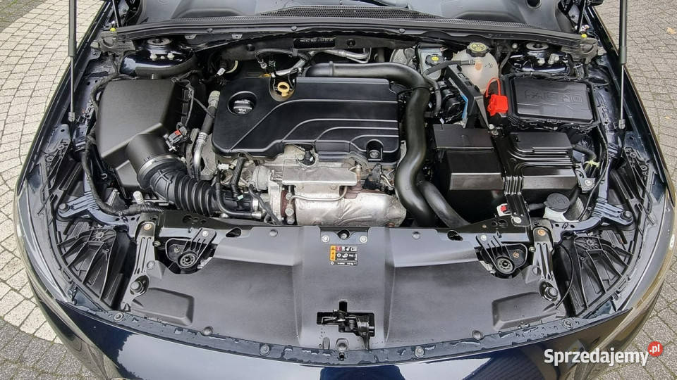 Opel Insignia 165 Bogata Wersja Jasne Skóry Opel Płońsk