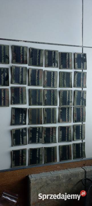 Dystynkcje wp starszy plutonowy 33 sztuki Jarosław