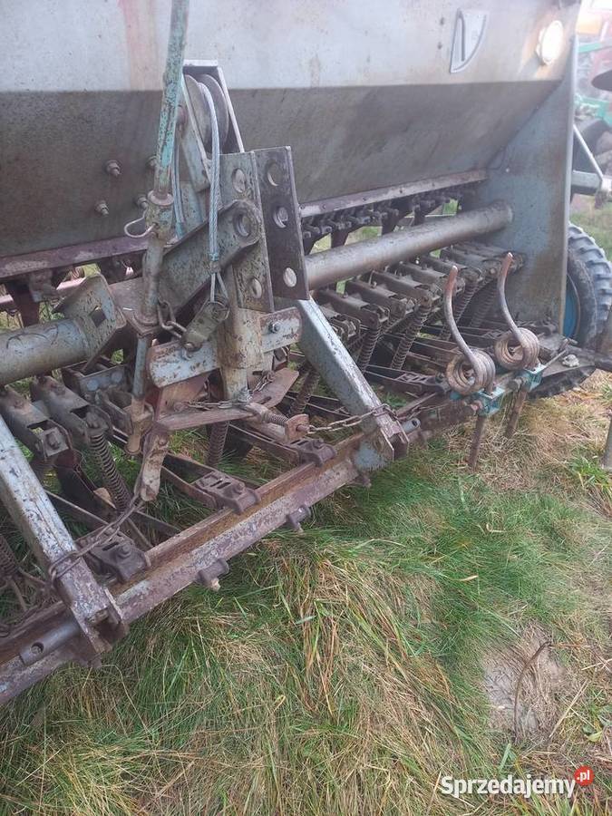 Siewnik poznaniak Jarosław