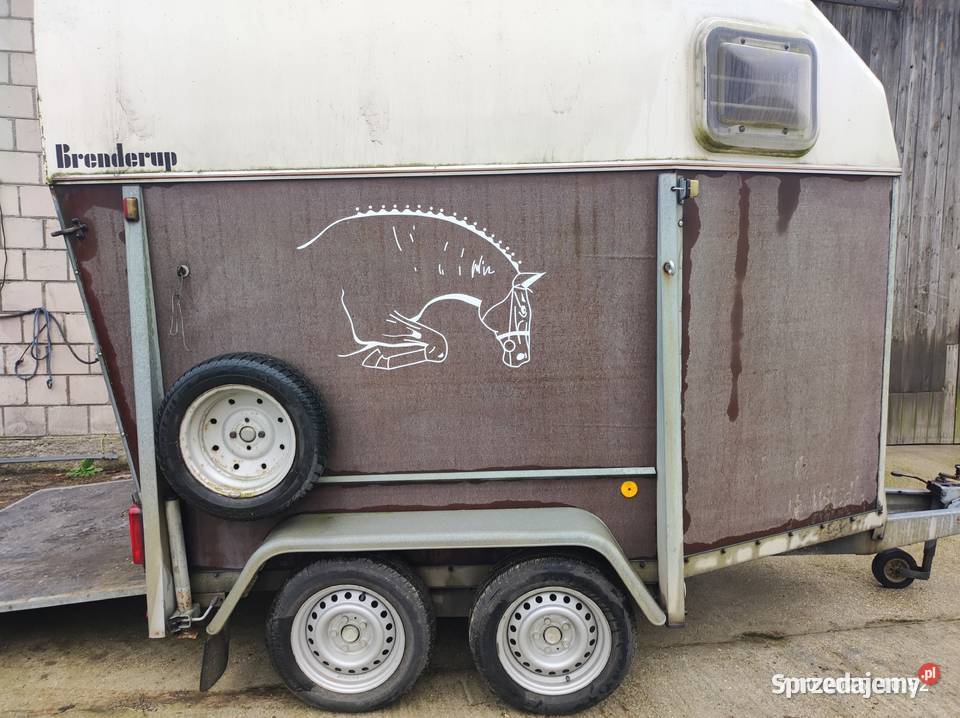 Przyczepa do koni Brenderup łódzkie