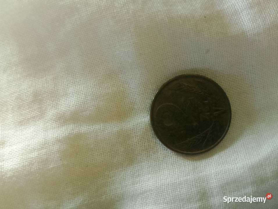 Monety Antyki pomorskie Czarna Woda