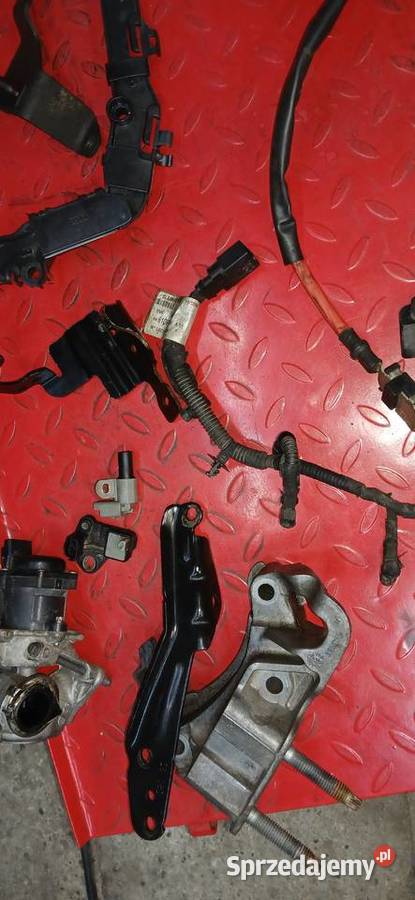 Silnik i części 16 HDI volvo podkarpackie Chmielów