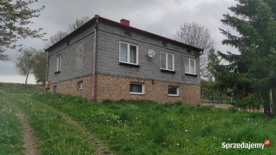 Dom budynki gospodarcze pole uprawne Wierzba