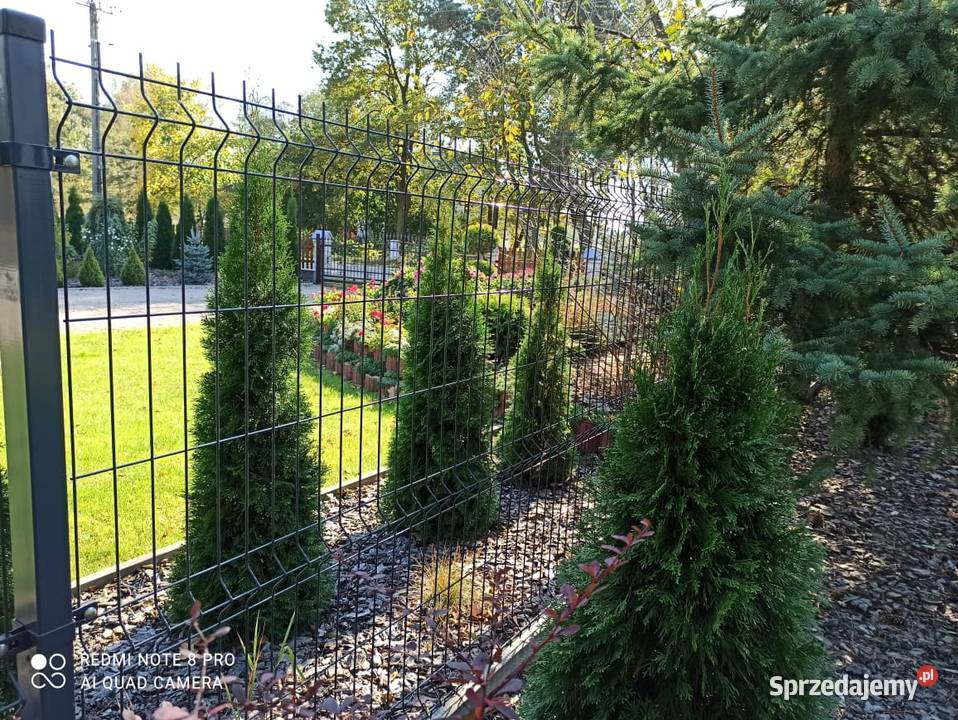 Panel ogrodzeniowy 40123 Ral 7016 PROMOCJA sprzedam