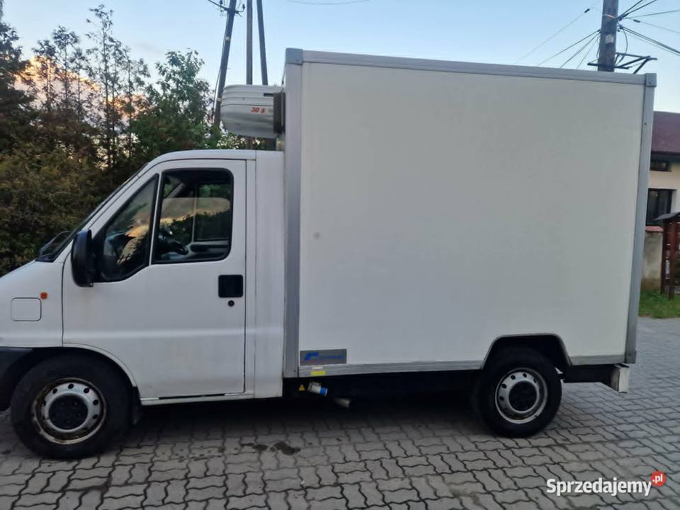 Citron jumper 25d chłodnia izoterma kontener