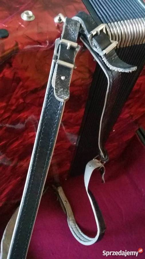 AKORDEON DELICJA 120 Wrocław