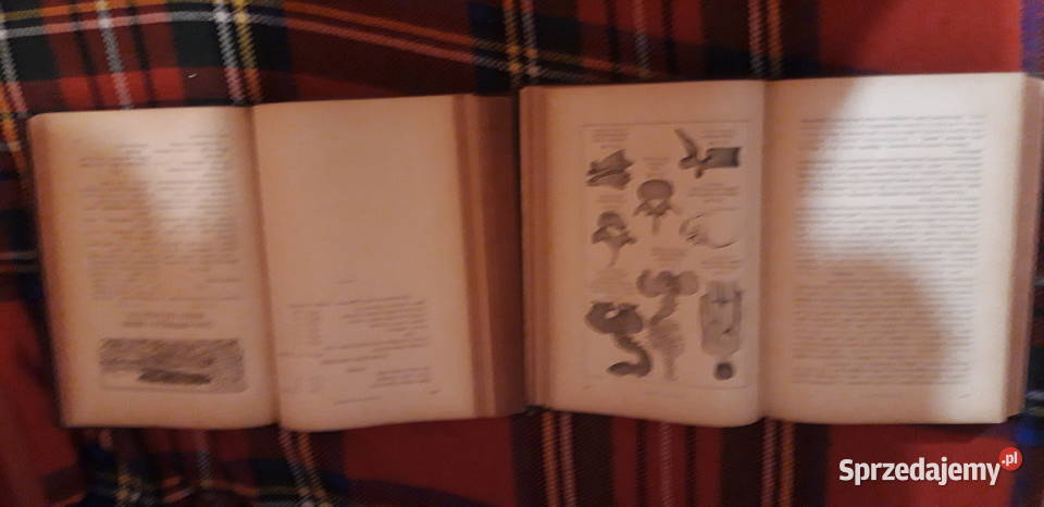 Lekarz Ratujący Zdrowi T1 2komplet Springer Iwno