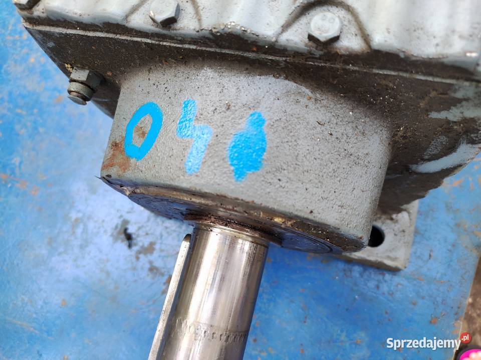 Przekladnia Pszczyna