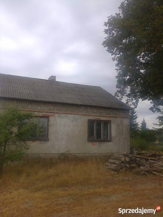 Sprzedam siedlisko w Puszczy Rządowej koło Puszcza Rządowa