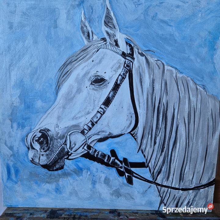 Obraz klacz koń arabski stadnina białka Janów małopolskie Brzesko