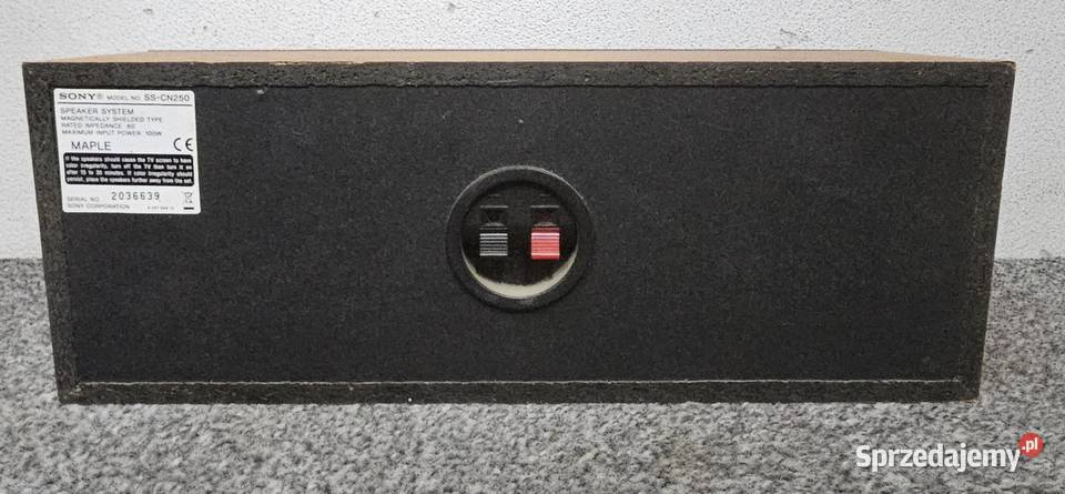 głośnik centralny Sony SSCN250 100W wysyłka Kraków