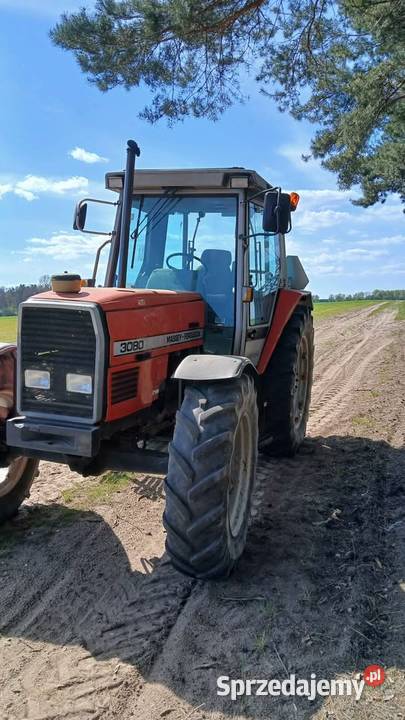 Massey ferguson 3080 Stare Miasto