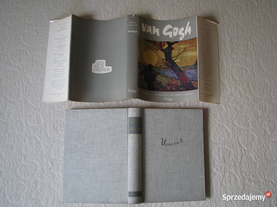 Van Gogh Pierre Cabanne publikacja w języku twarda z obwolutą Brzegi