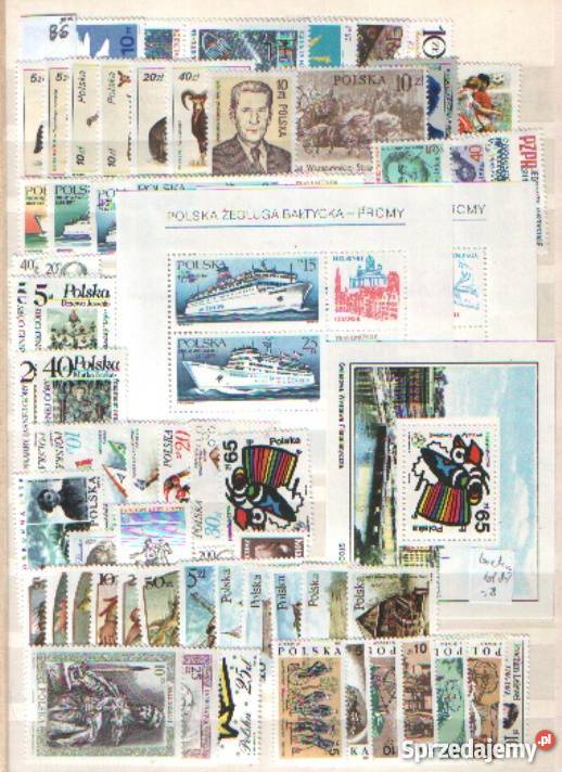 Zn Rocznik 1986 Gliwice