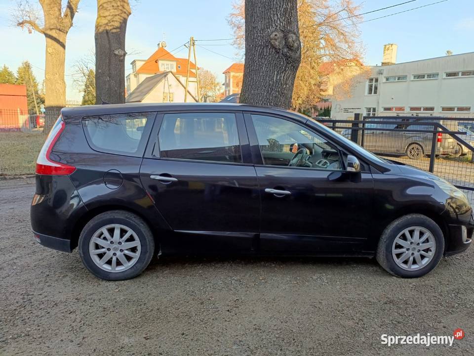 Renault Scenik III Scenic Wołów
