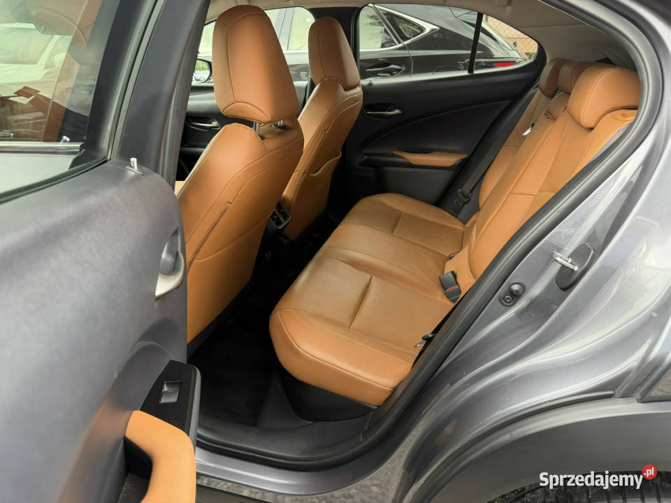 Lexus UX 20 Hybrid Skóra Ful LED Premium ASR (kontrola trakcji) UX Łodygowice