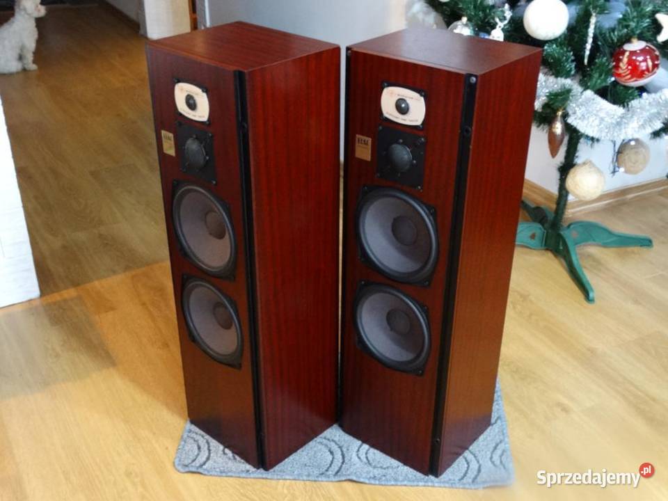 Audiofilskie kolumny Elac EL135 śliczne WYSYŁKA podkarpackie Jasło sprzedam