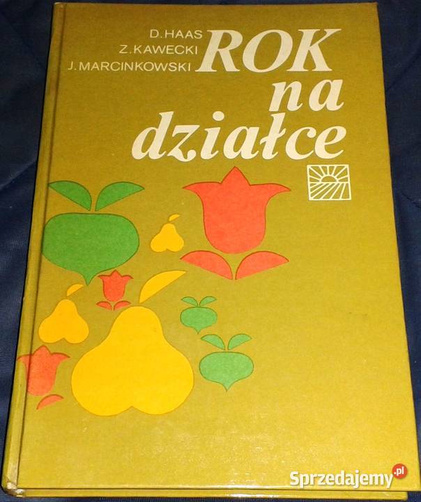 na działce D Haas Z Kawecki J Marcinkowski Chełm