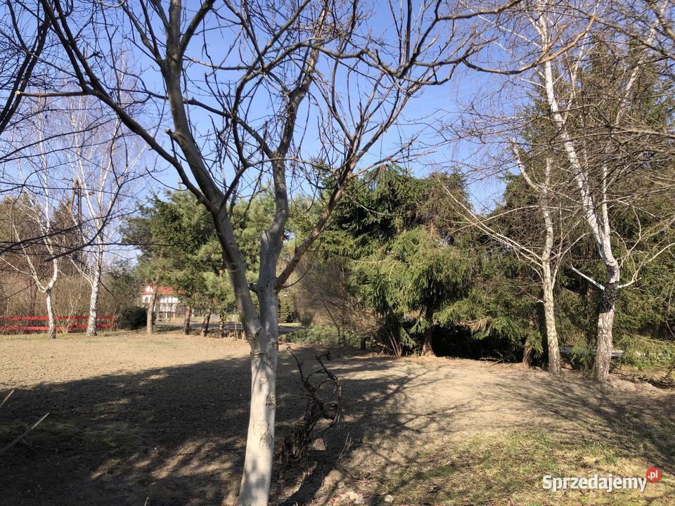 Działka ROD Zalesie Rzeszów sprzedam