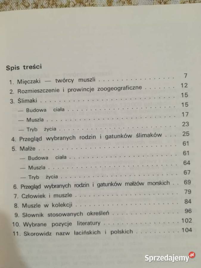 Andrzej Samek Muszle morskie mały przewodnik Gdańsk