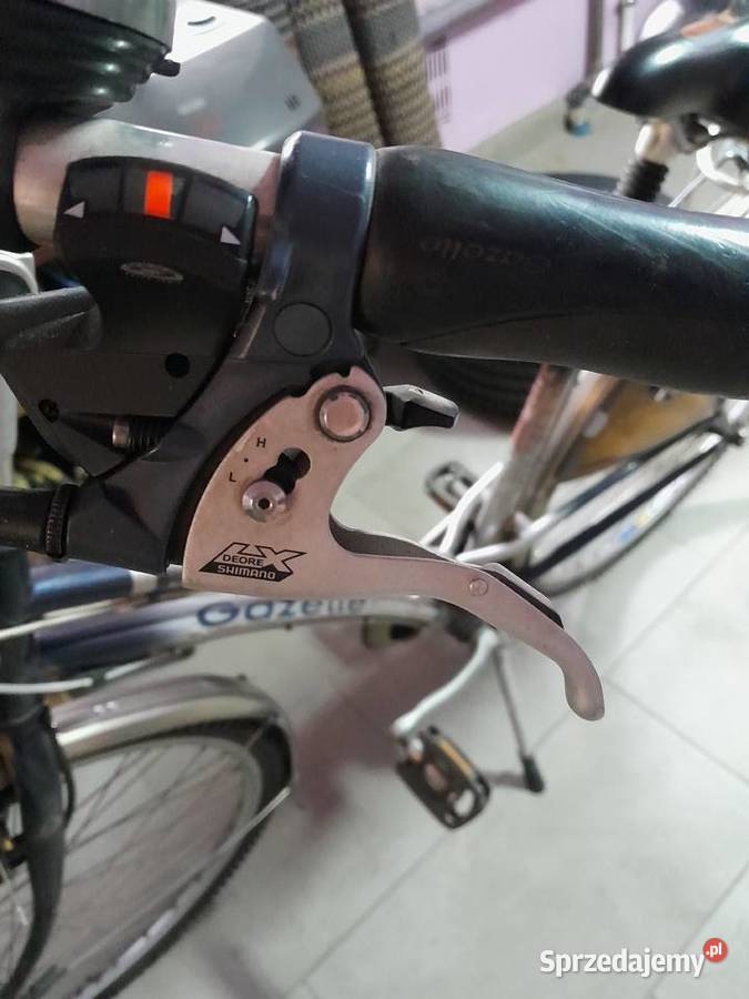 GAZELLE damka Łuków