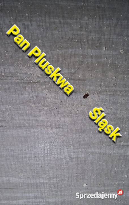 Pluskwa domowa zwalczanie pluskiew odpluskwianie Katowice